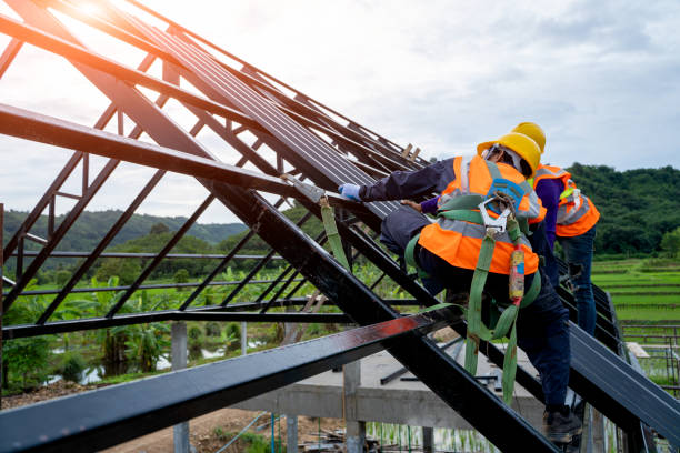 Best New Roof Installation  in Forest, OH