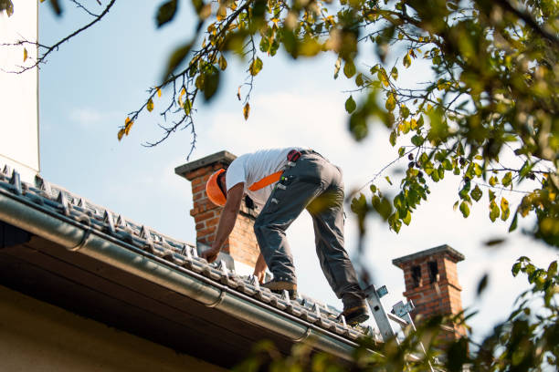 Best Residential Roofing Contractor  in Forest, OH