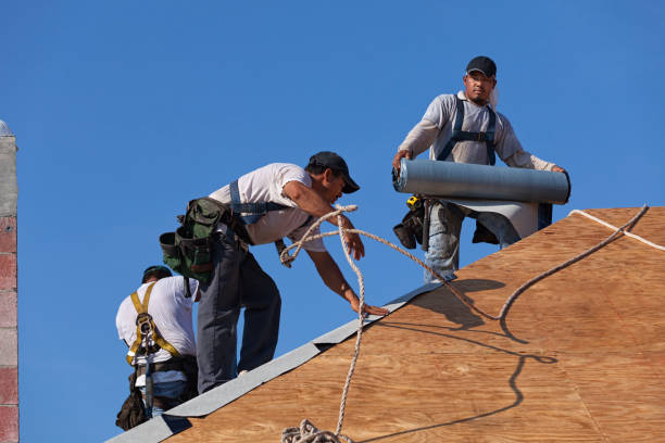 Best Local Roofing Companies  in Forest, OH