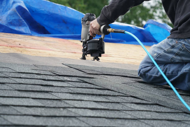 Professional Roofing Contractor in Forest, OH