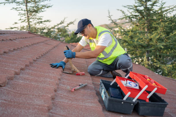 Best Roof Waterproofing Services  in Forest, OH